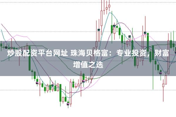 炒股配资平台网址 珠海贝格富：专业投资，财富增值之选