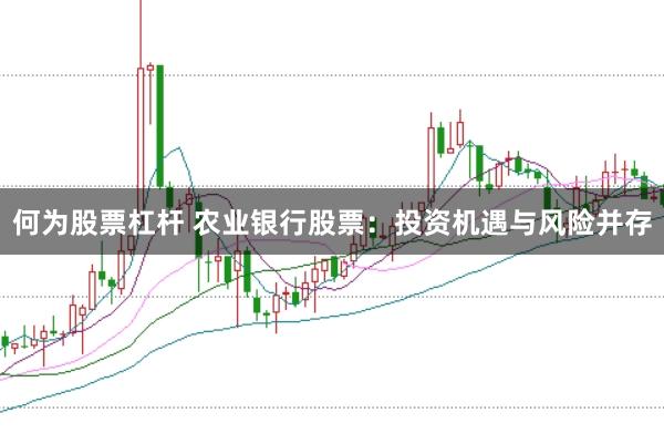 何为股票杠杆 农业银行股票：投资机遇与风险并存