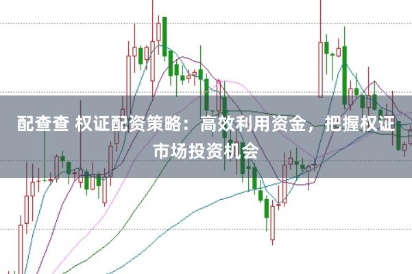 配查查 权证配资策略：高效利用资金，把握权证市场投资机会
