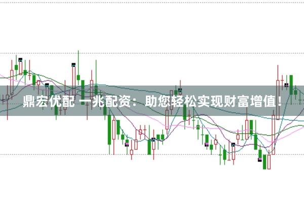 鼎宏优配 一兆配资：助您轻松实现财富增值！