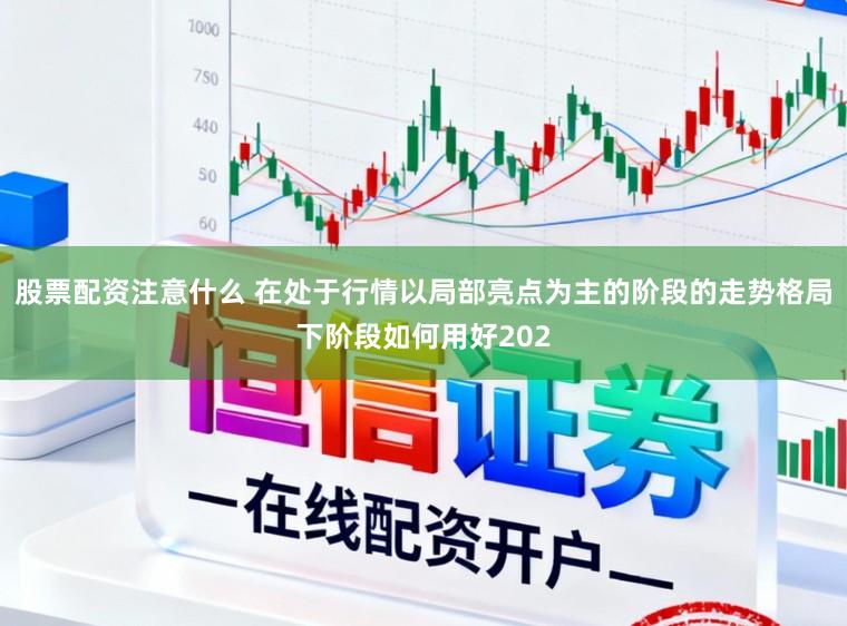 股票配资注意什么 在处于行情以局部亮点为主的阶段的走势格局下阶段如何用好202