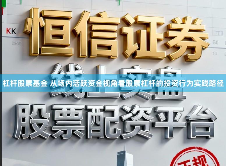 杠杆股票基金 从场内活跃资金视角看股票杠杆的投资行为实践路径