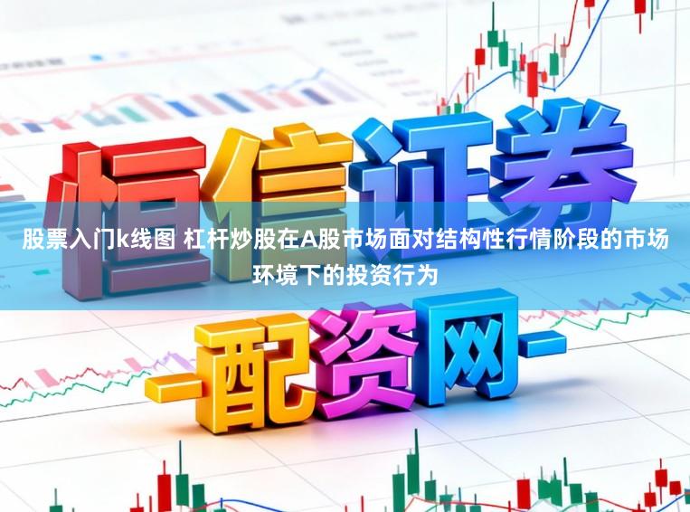 股票入门k线图 杠杆炒股在A股市场面对结构性行情阶段的市场环境下的投资行为